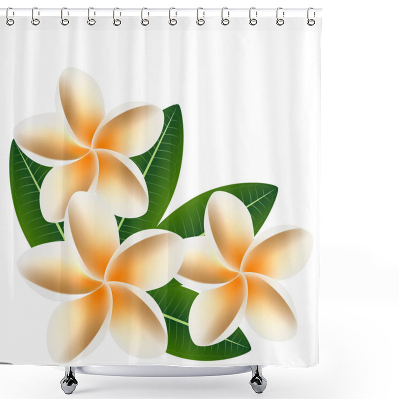 Personality  Flowers Frangipani (Plumeria) With Leaves Isolated On White. Shower Curtains