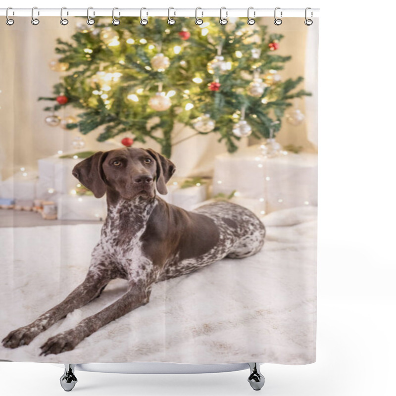 Personality  Dog Laying Down In Front Of Christmas Tree Shower Curtains