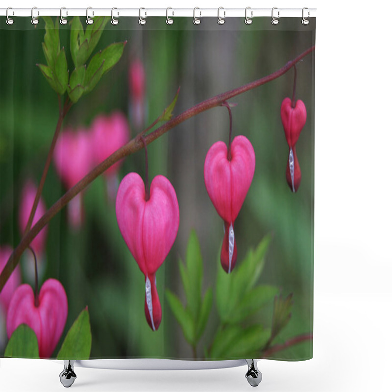 Personality  Bleeding Heart Flower Shower Curtains