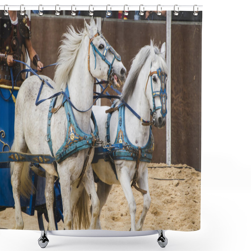 Personality  Roman Chariot On Gladiators Fight Shower Curtains