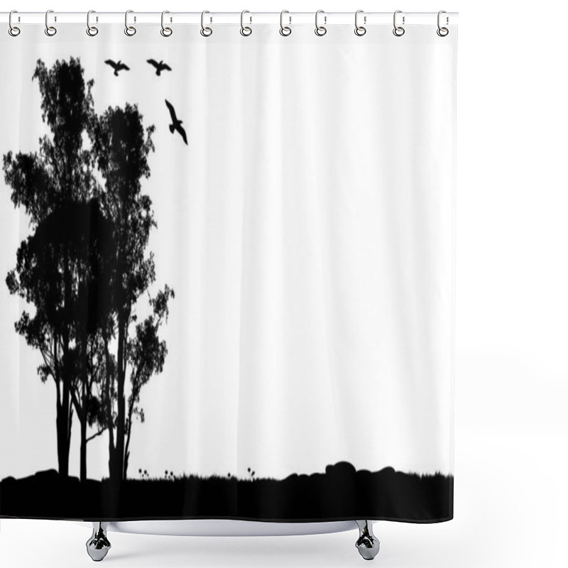 Personality  Eucalyptus Gum Tree On White Background Australian Gum Tree Tall, Evergreen Tree Shower Curtains