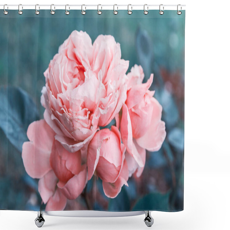 Personality  Tender Pink Rose In The Garden Against A Background Of Dark Leaves, Toned Effect. Shower Curtains