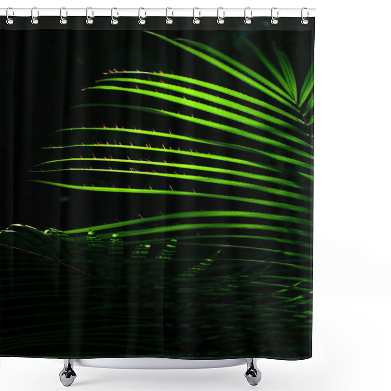 Personality  The Sun Shining Through The Leaves Of Palm Leaves In The Jungle Shower Curtains