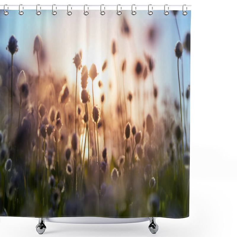 Personality  Sunny Day On The Flowers Meadow. Beautiful Natural Background. Wild Plants In Nature. Shower Curtains