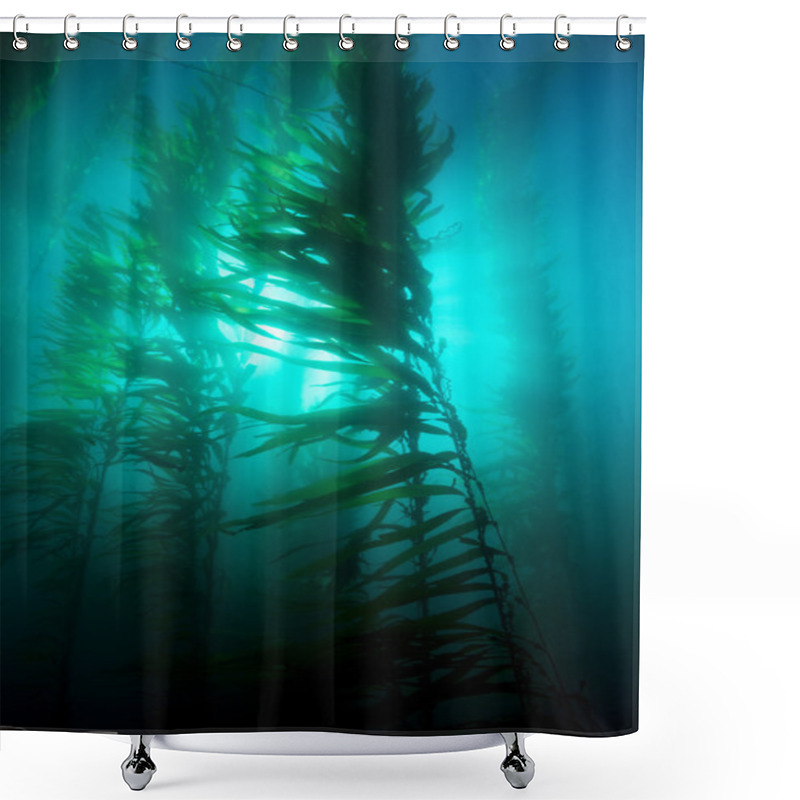 Personality  Kelp Bed Shower Curtains