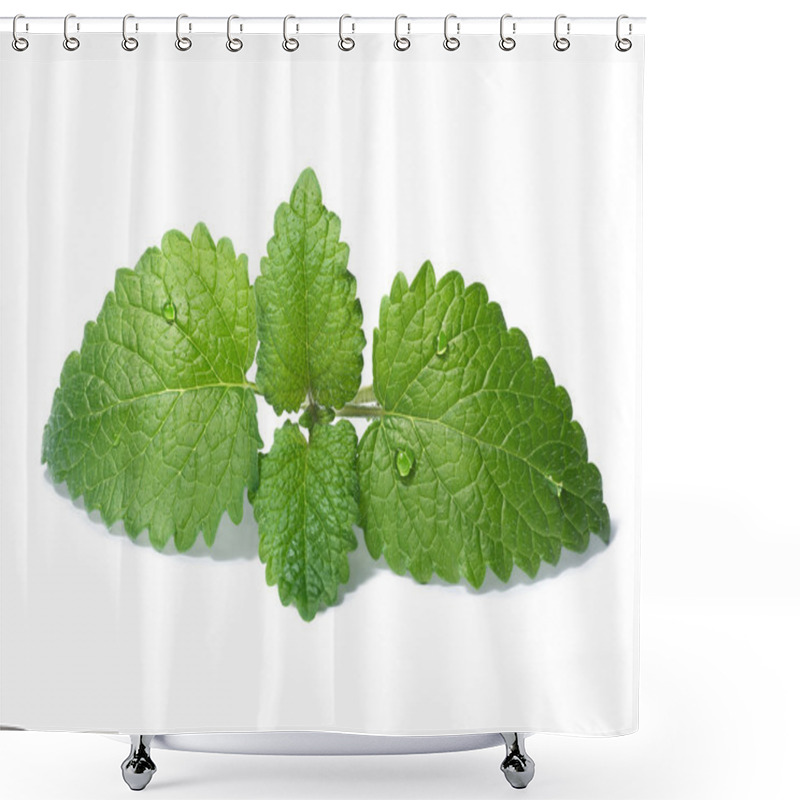 Personality  Lemon Balm (Melissa Officinalis) Shower Curtains