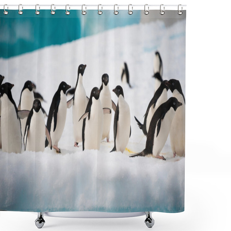 Personality  Penguins On The Snow Shower Curtains