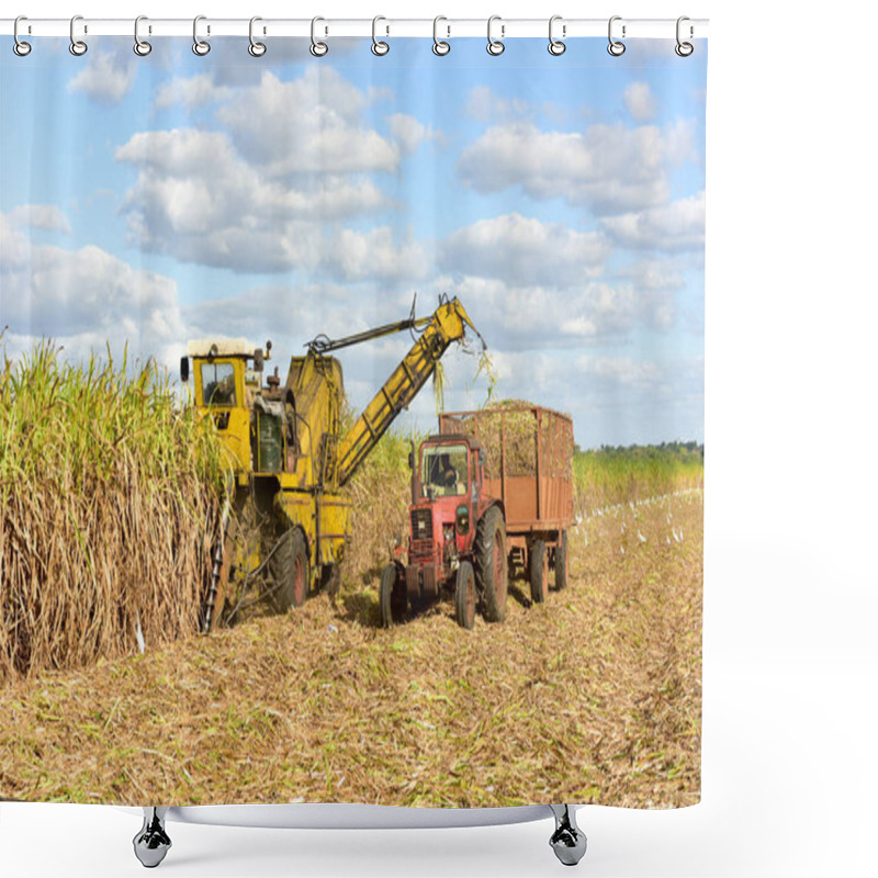 Personality  Sugar Cane Harvest Shower Curtains