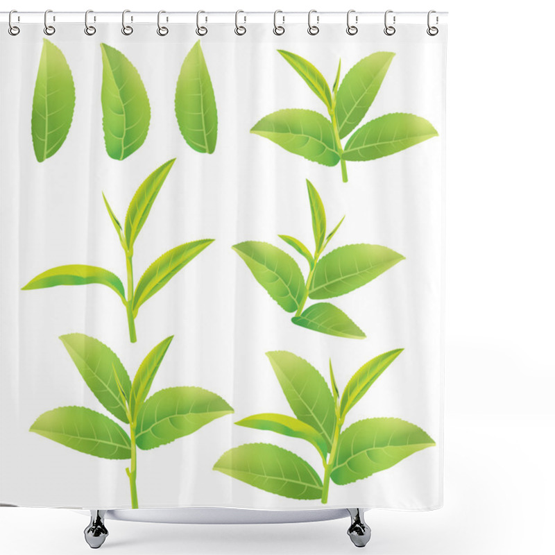 Personality  Green Tea Shower Curtains