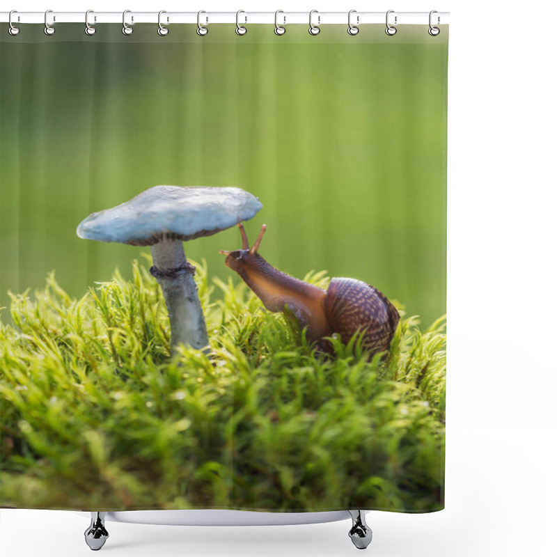 Personality  Macro Photo Of Small Brown Snail Sitting On The Green Mosses And Interested In Fresh Hat Of A Mushroom Shower Curtains