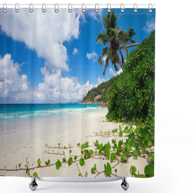 Personality  Perfect White Sand Beach On Mahe Island In Seychelles Shower Curtains