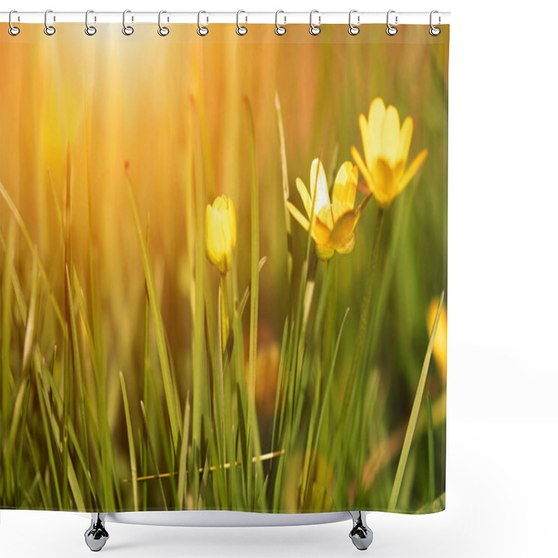 Personality  Spring Yellow Flowers At Sunset Shower Curtains