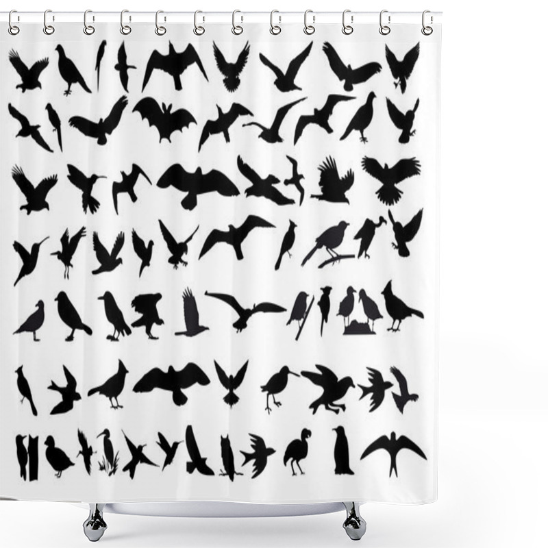 Personality  Birds Vector Shower Curtains