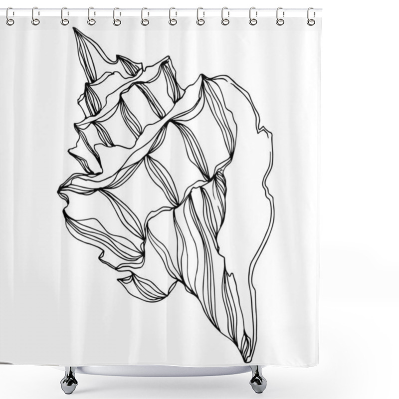 Personality  Vector Summer Beach Seashell Tropical Elements. Black And White  Shower Curtains