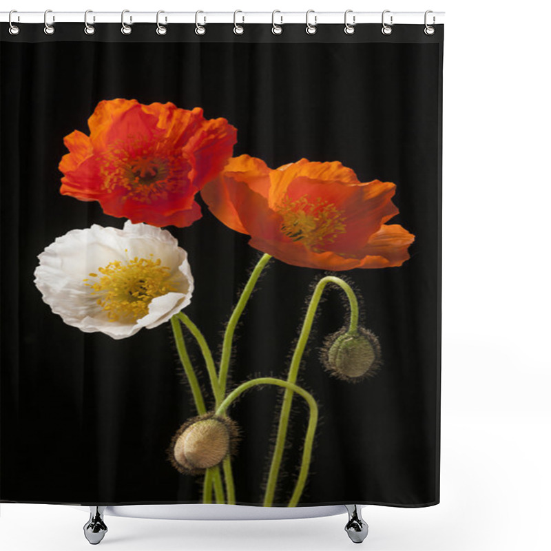 Personality  Poppy Flowers On Black Shower Curtains