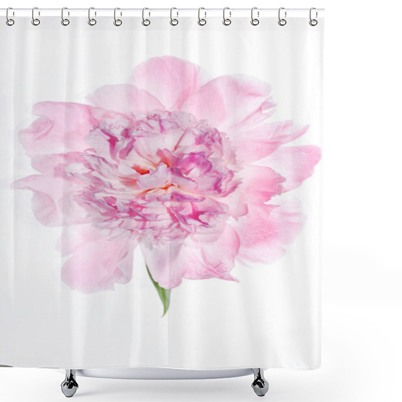 Personality  Pink Peony Flower Shower Curtains