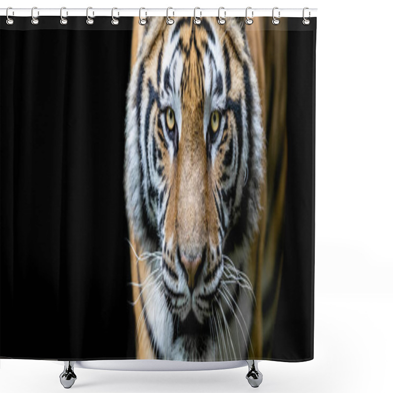 Personality  Tiger With A Black Background Shower Curtains