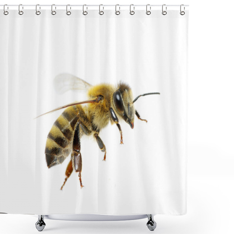 Personality  Bee On The White Shower Curtains