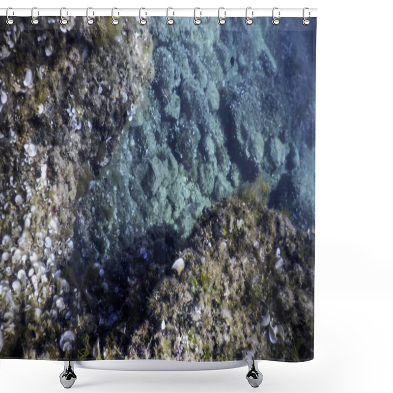 Personality  Rocks At Bottom Of Ocean Floor, Underwater Life Shower Curtains