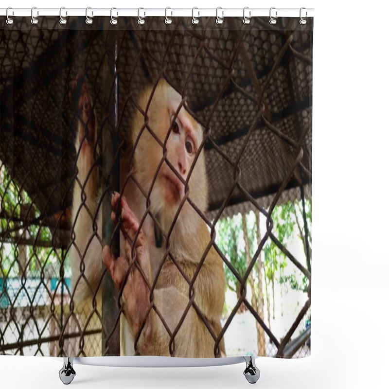 Personality  Monkey Is Trapped Inside The Cage. Shower Curtains