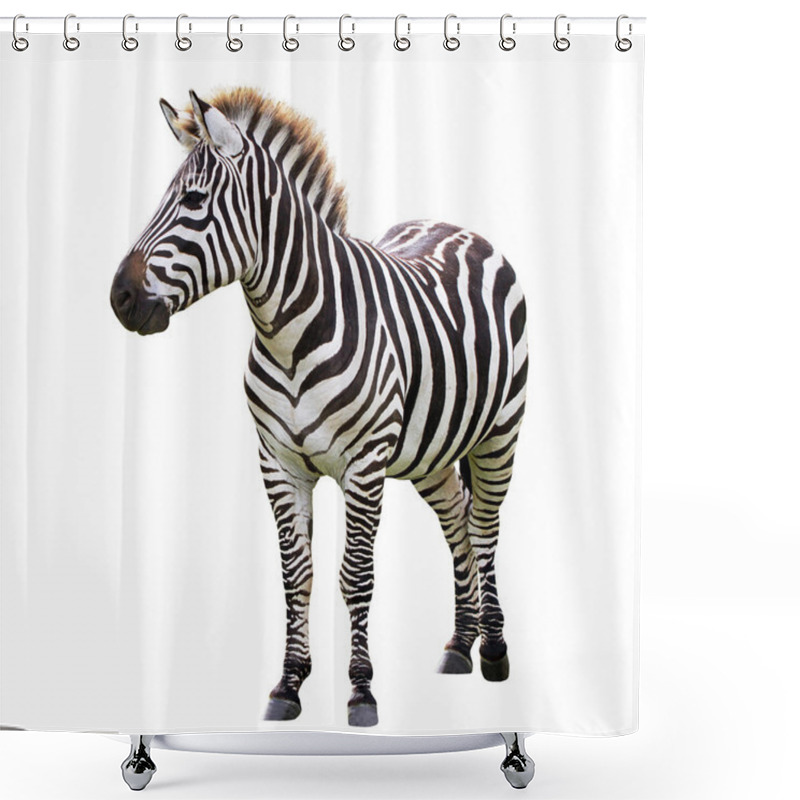 Personality  Black And White Zebra Shower Curtains