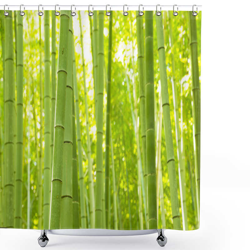 Personality  Bamboo Forest In Japan Shower Curtains