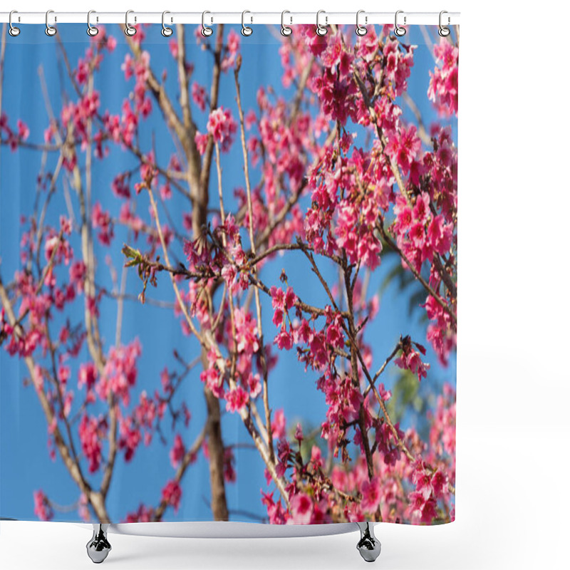 Personality  Branches Of A Tree Densely Covered In Bright Pink Blossoms Of Sakura Against A Clear Blue Sky. The Flowers Are In Full Bloom. Creating A Vibrant And Cheerful Spring Scene. Shower Curtains