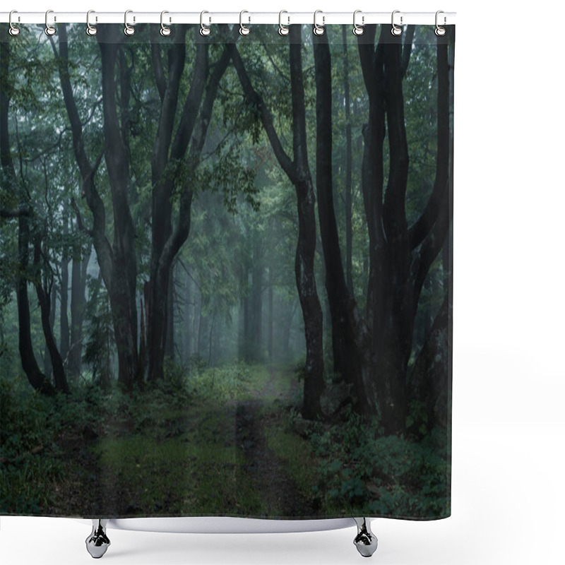 Personality  Gloomy And Dark Forest Road During A Foggy Morning With The Best Mystic Atmosphere In The East Of Bohemia. Shower Curtains