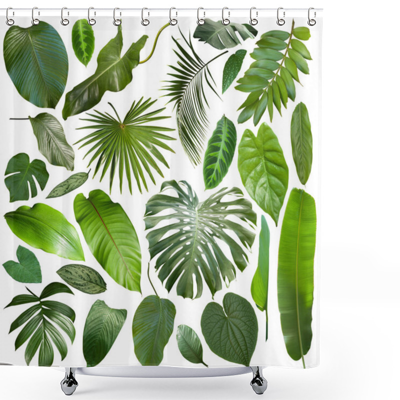 Personality  More Beautiful Exotic Tropical Leaves, Isolated Leaf Background Shower Curtains