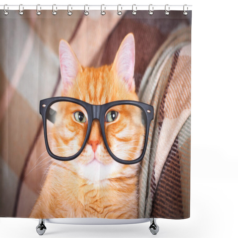 Personality  Cute Red Cat With Glasses Close-up. Shower Curtains