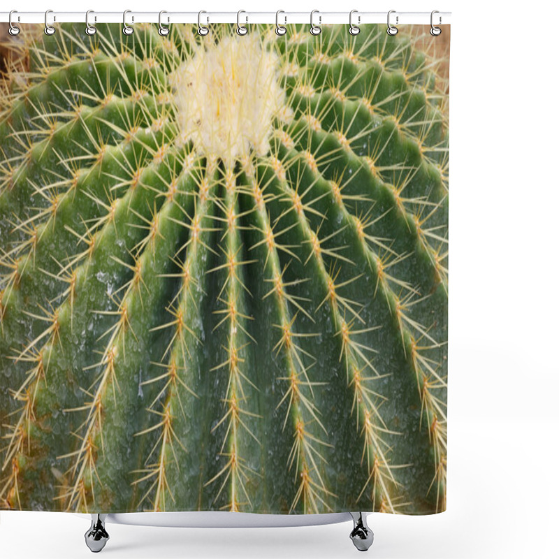 Personality  Detail Of Cactus Growing Shower Curtains