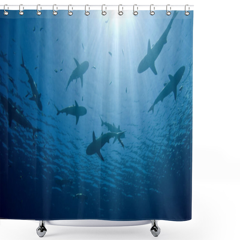 Personality  Sharks Shower Curtains