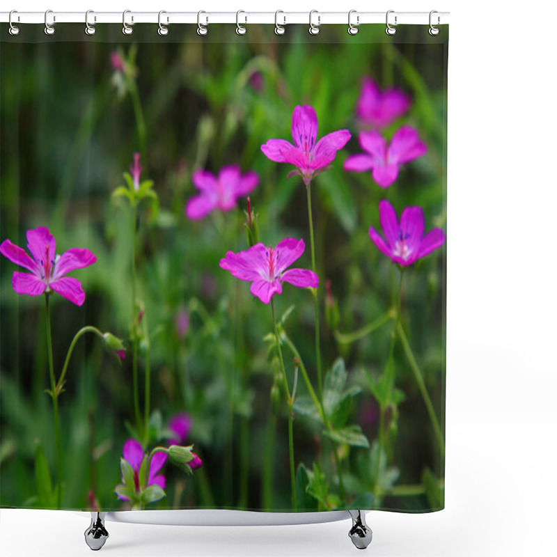 Personality  Geranium Pratense In Garden. Shower Curtains