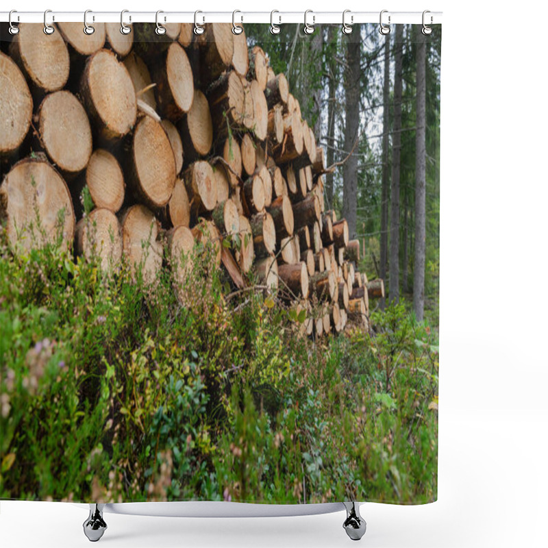 Personality  Worms Eye View Of A Woodpile On The Ground In A Forest Shower Curtains