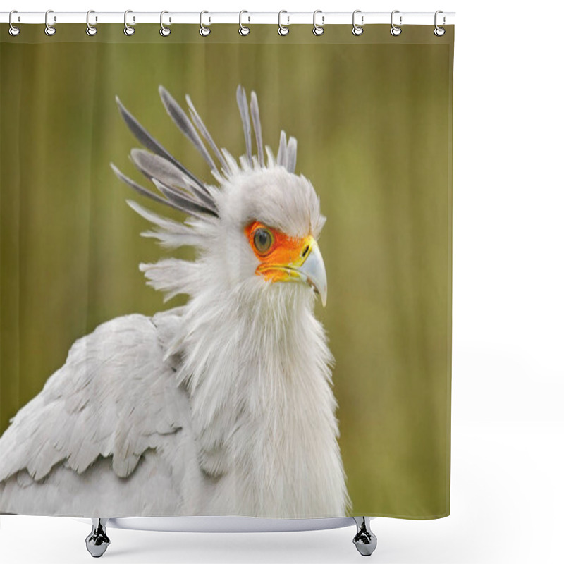 Personality  Secretary Bird, Sagittarius Serpentarius, Portrait Of Nice Grey Bird Of Prey With Orange Face, Kenya, Africa. Wildlife Scene From Nature. Beautiful Animal With Grey Crest On The Head. Shower Curtains