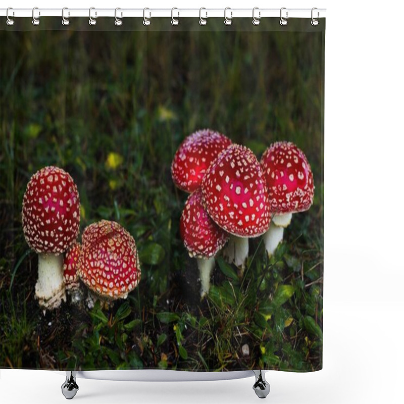 Personality  Small Crimson Mushrooms Thrive Beneath A Spruce, Adding A Pop Of Color To The Grassy Landscape, Evoking A Magical Atmosphere. Shower Curtains