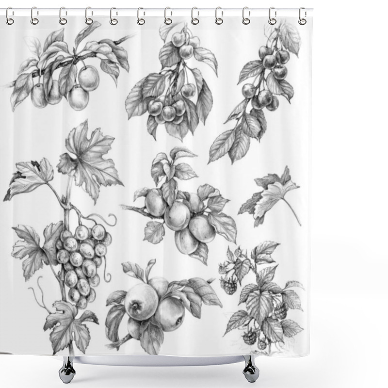 Personality  Fruits And Berries Set Pencil Drawing Shower Curtains