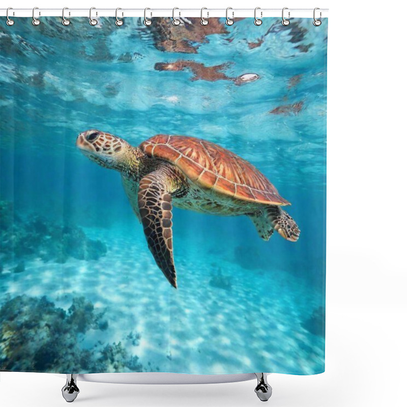 Personality  An Ultra-realistic Full Shot Photo Of A Sea Turtle Swimming Gracefully Through Crystal-clear Water, Captured At Shoulder Level With Deep Focus To Highlight The Detailed Patterns On Its Shell And The Vibrant Underwater Environment. Shower Curtains