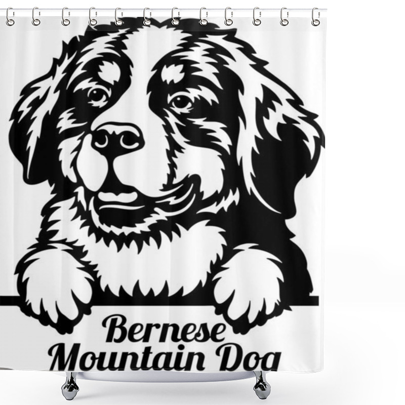 Personality  Bernese Mountain Dog Peeking Dog - Head Isolated On White Shower Curtains