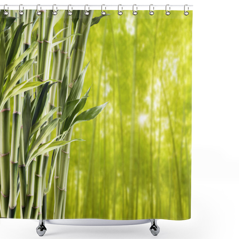 Personality  Fresh Green Bamboo Shower Curtains