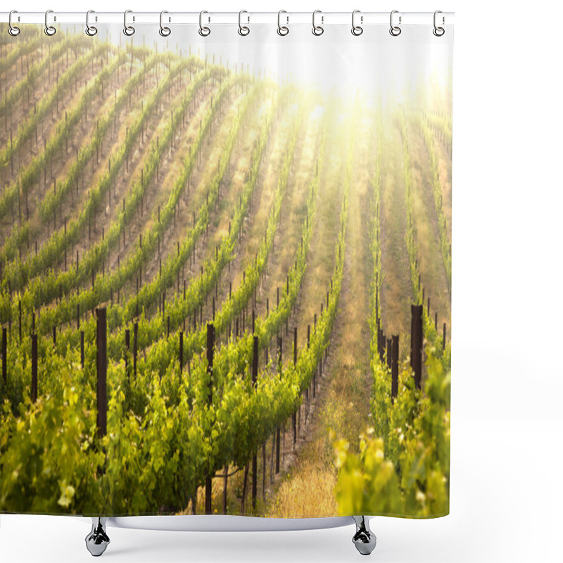 Personality  Beautiful Lush Grape Vineyard Shower Curtains