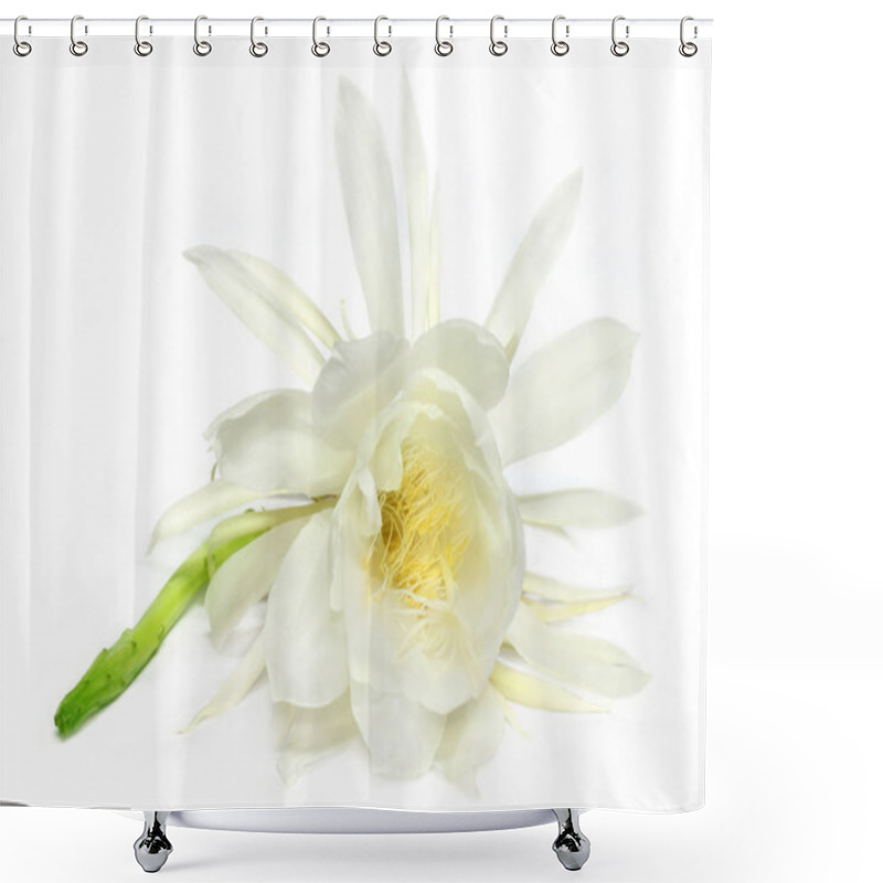 Personality  Rare Night Queen Flower Shower Curtains