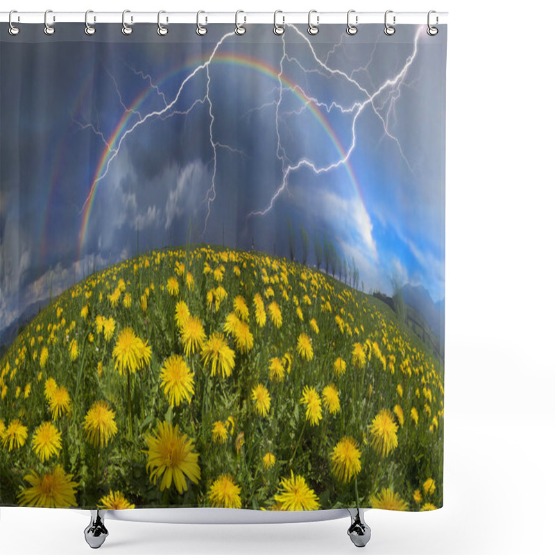 Personality  Summer Flowers Dandelions After Rain Shower Curtains