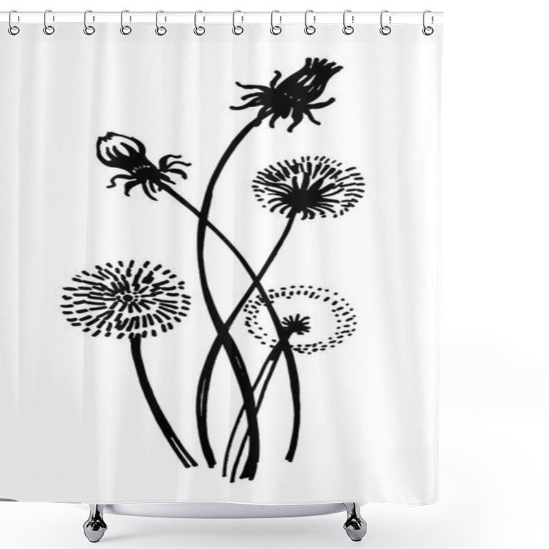 Personality  Isolated Blooming Meadow Flower Form Print Natural Outline Floral White Spring Ornament Monochrome Petal Organic Leaf Holiday Botanic Summer Graphic Blossom Drawing Black Daisies Chamomile Stem Garden Shower Curtains