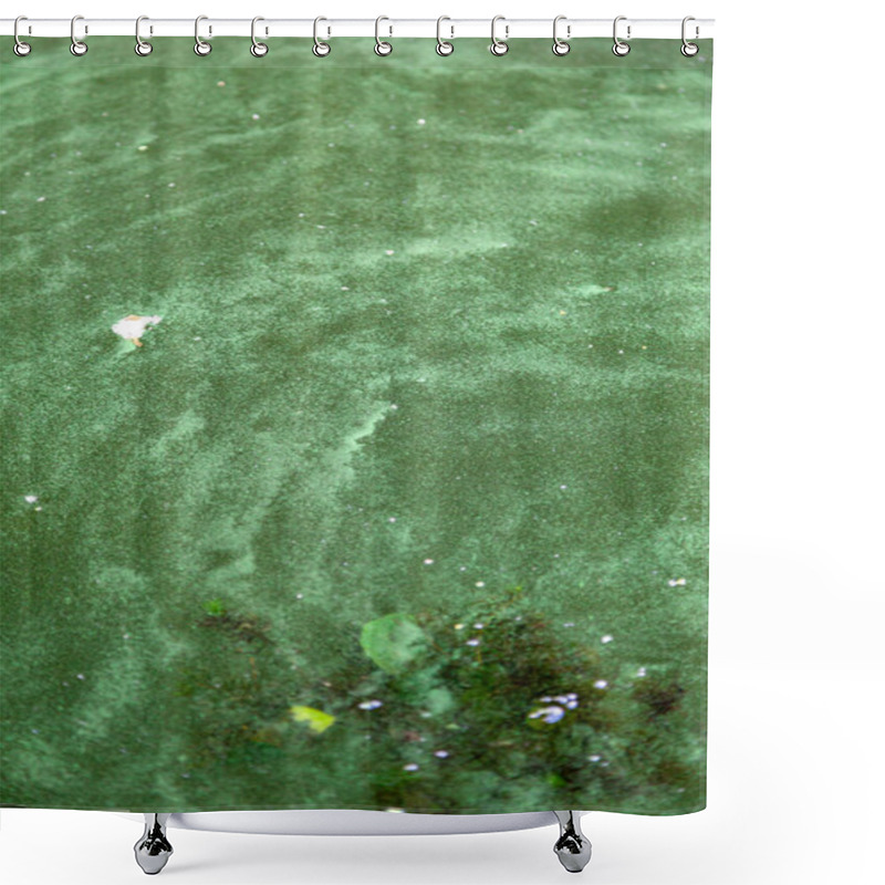 Personality  Blue-green Algae In A Body Of Water, Bathing Prohibited Shower Curtains