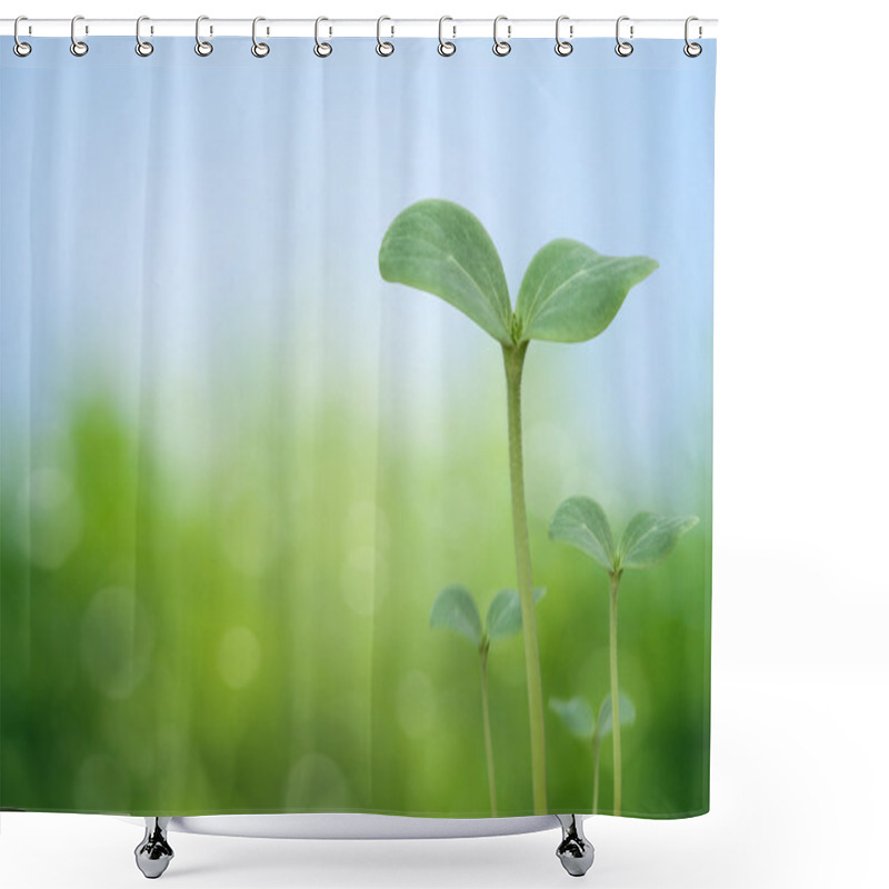 Personality  Tree Seedling Shower Curtains