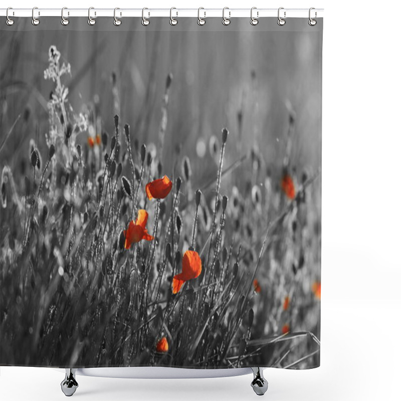 Personality  Red Wild Poppies Shower Curtains