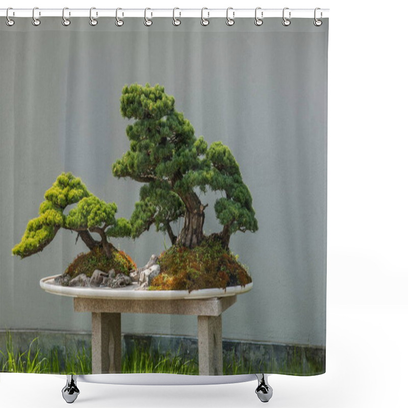 Personality  Yangzhou Slender West Lake To Send Bonsai Garden Shower Curtains