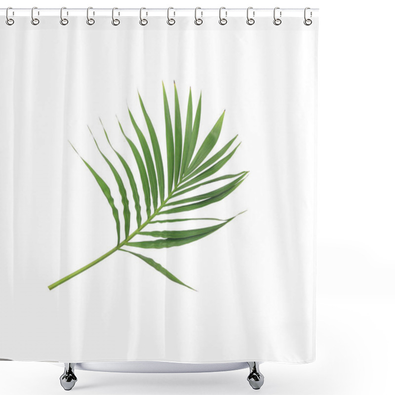 Personality  Green Leaf Of Palm Tree Isolated On White Background Shower Curtains