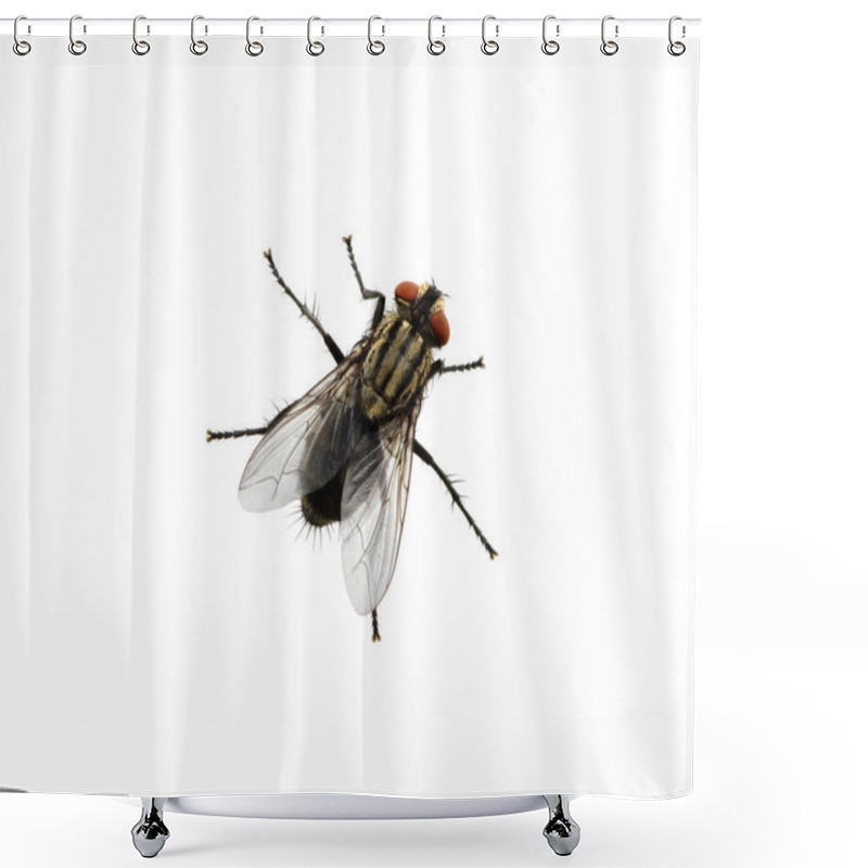 Personality  Fly On A White Shower Curtains